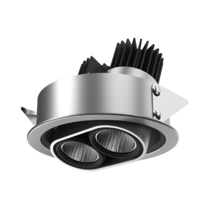 Magnus Recessed Adjustable 2X