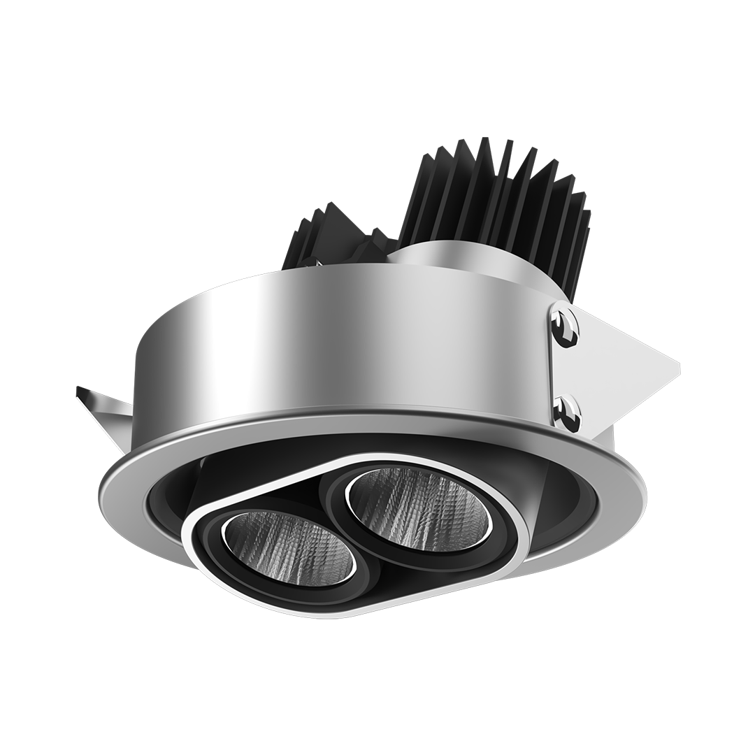 Magnus Recessed Adjustable 2X