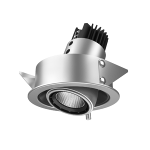 Magnus Recessed Adjustable 1X