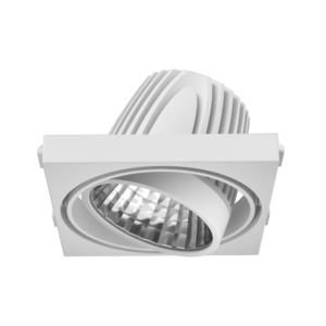 Ray M Flex Spotlight